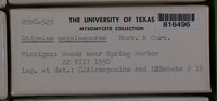 Image Associated With the Occurence